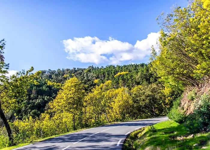 In Cannes With Sea View * Mandelieu