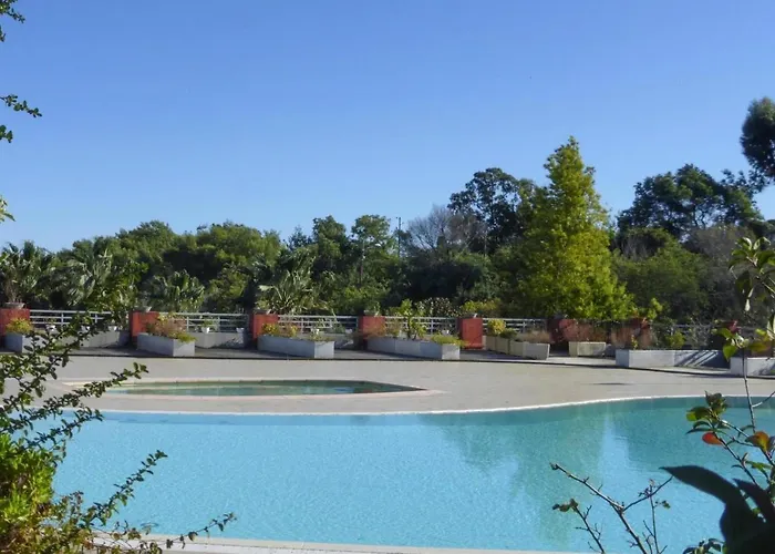 In Cannes With Sea View Mandelieu