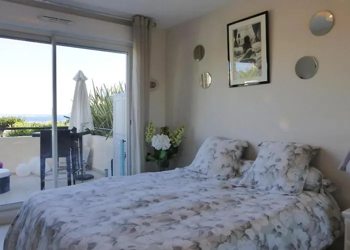 Apartamento In Cannes With Sea View *